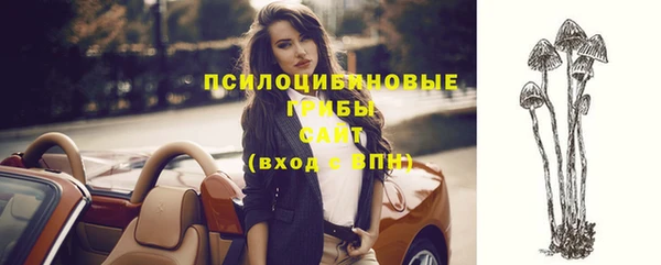 меф Медногорск