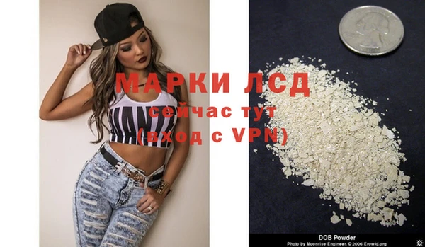 ALPHA PVP Новозыбков