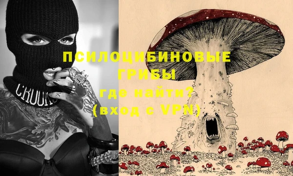 ешки Новодвинск