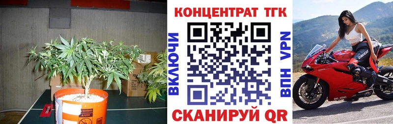 Дистиллят ТГК гашишное масло  купить наркоту  кракен ссылки  Александровское 