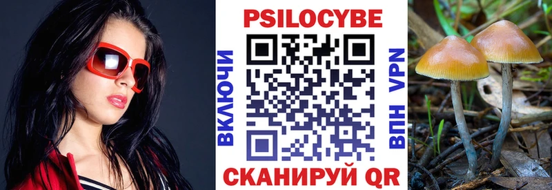 Псилоцибиновые грибы MAGIC MUSHROOMS  купить   ссылка на мегу ONION  Александровское 